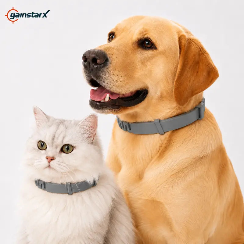 Gainstarx Adjustable Fresh Scent Dog Collar Lightweight Comfort Collar for Large Dogs Daily Outdoor Walks