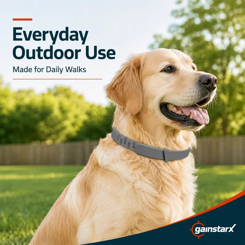 Gainstarx Adjustable Fresh Scent Dog Collar Lightweight Comfort Collar for Large Dogs Daily Outdoor Walks