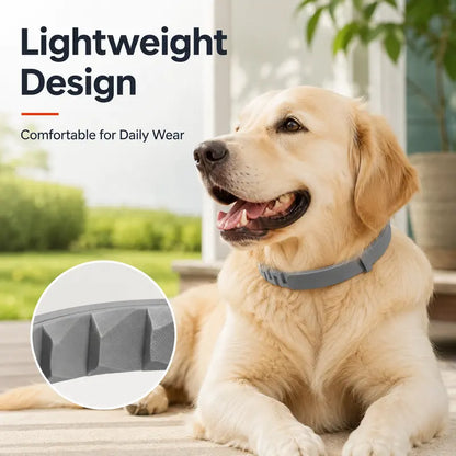 Gainstarx Adjustable Fresh Scent Dog Collar Lightweight Comfort Collar for Large Dogs Daily Outdoor Walks