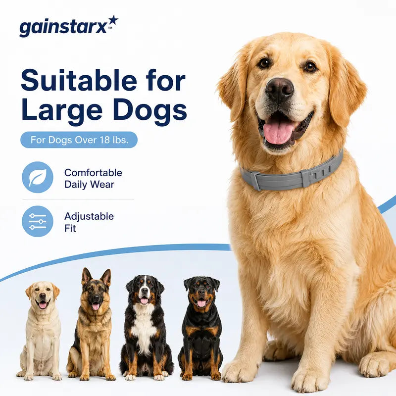 Gainstarx Adjustable Fresh Scent Dog Collar Lightweight Comfort Collar for Large Dogs Daily Outdoor Walks
