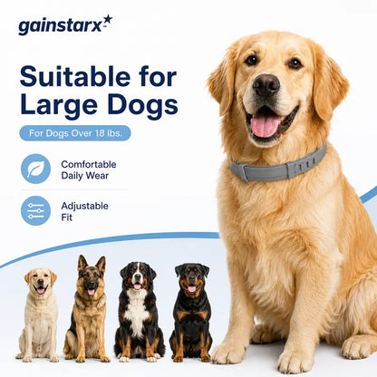 Gainstarx Adjustable Fresh Scent Dog Collar Lightweight Comfort Collar for Large Dogs Daily Outdoor Walks