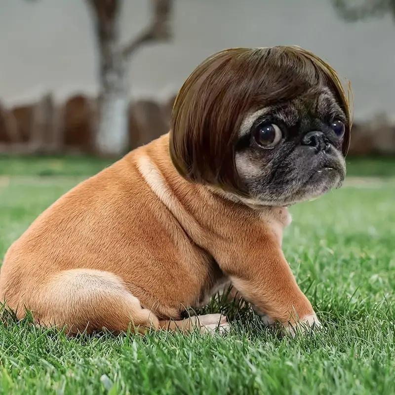 Pet Short Hair Wig Headband Cute Funny Costume Accessory for Dogs Cats Valentine Gift