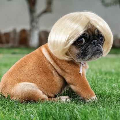 Pet Short Hair Wig Headband Cute Funny Costume Accessory for Dogs Cats Valentine Gift