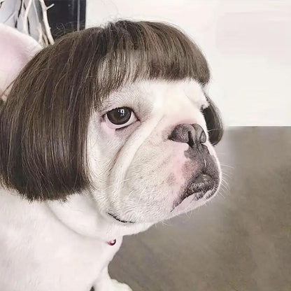 Pet Short Hair Wig Headband Cute Funny Costume Accessory for Dogs Cats Valentine Gift